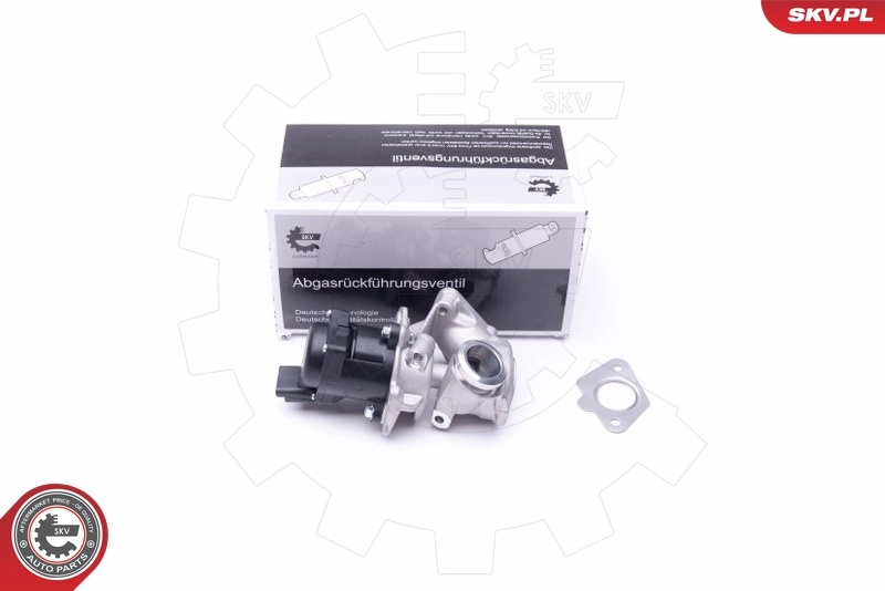 EGR Valve